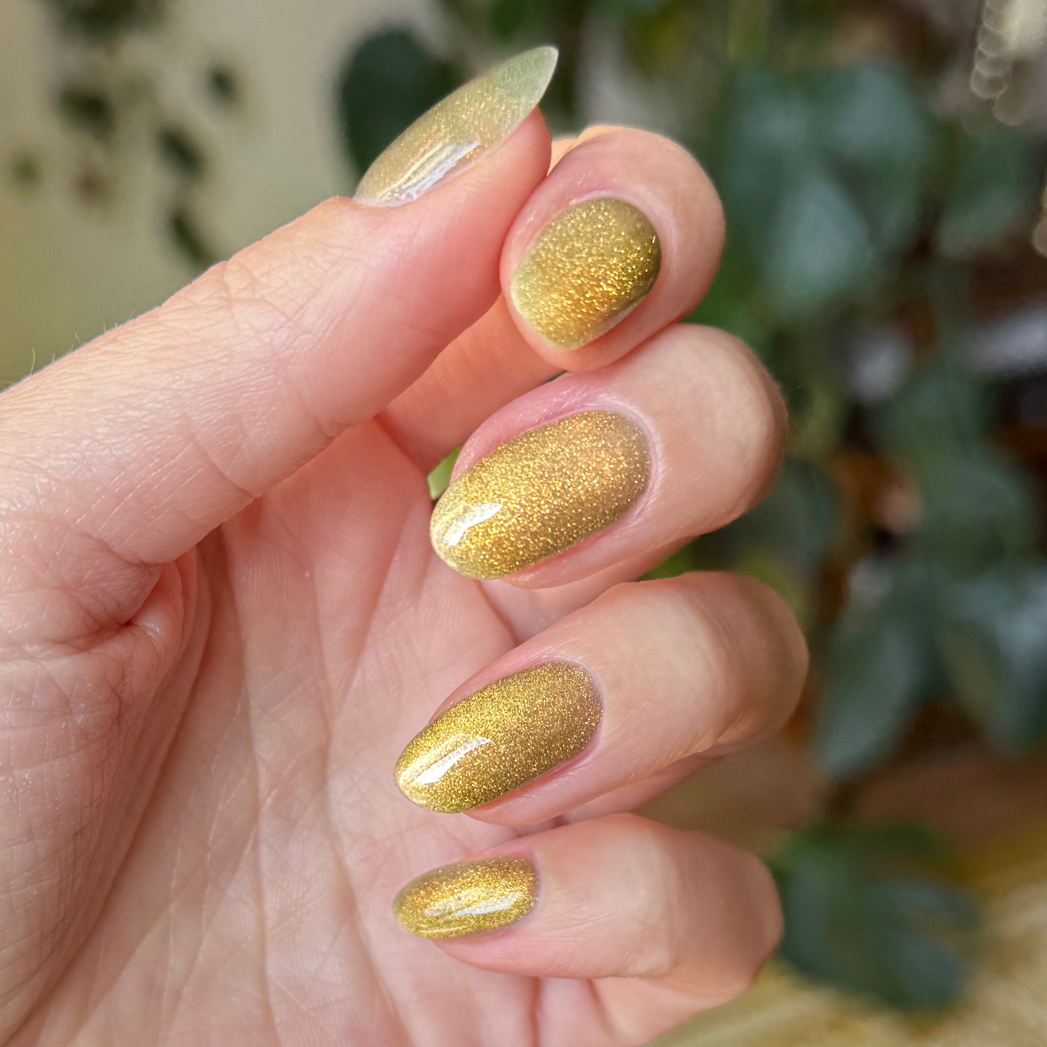 Golden Velvet - Gel - Image 7