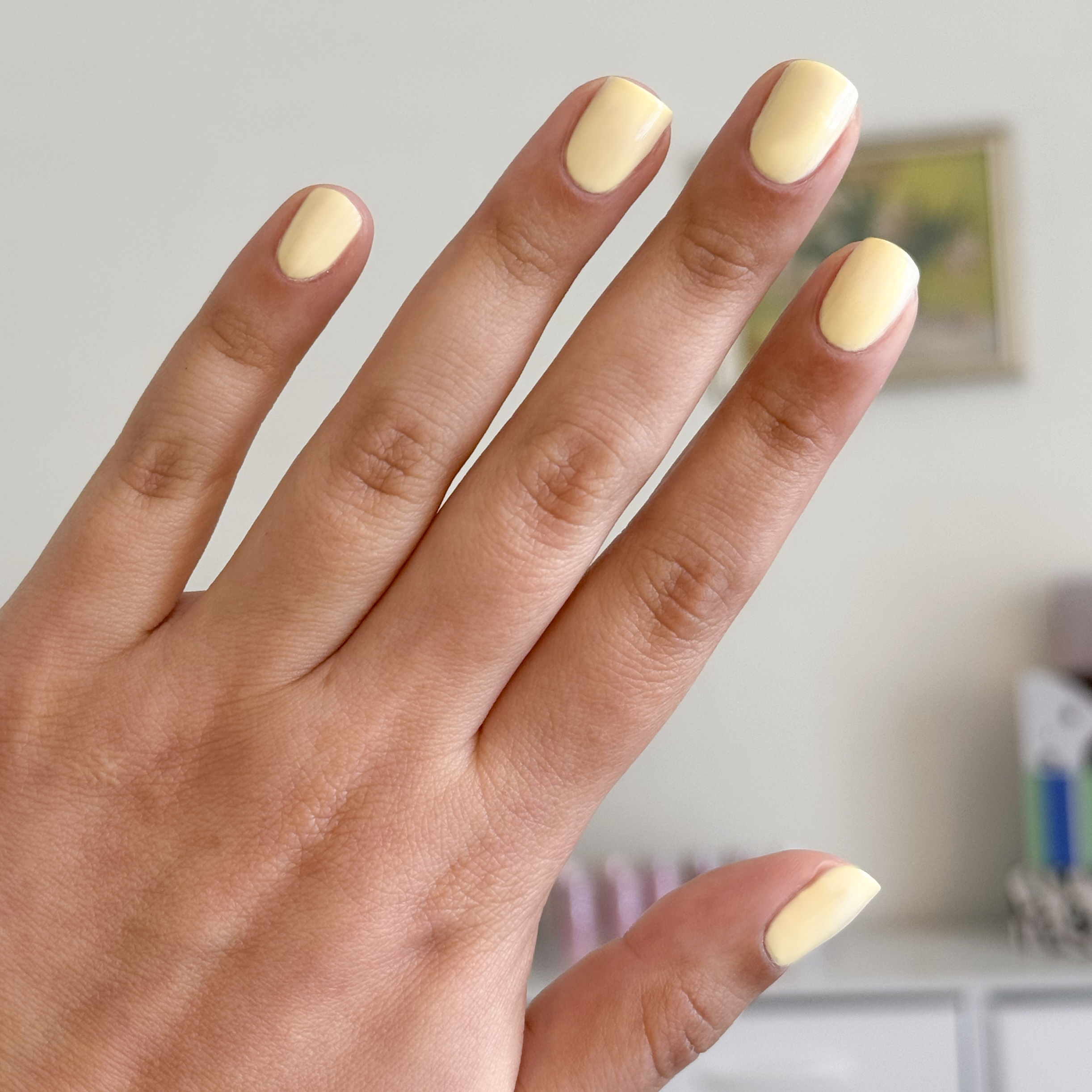 Spring 2026 Polish Set - Image 4