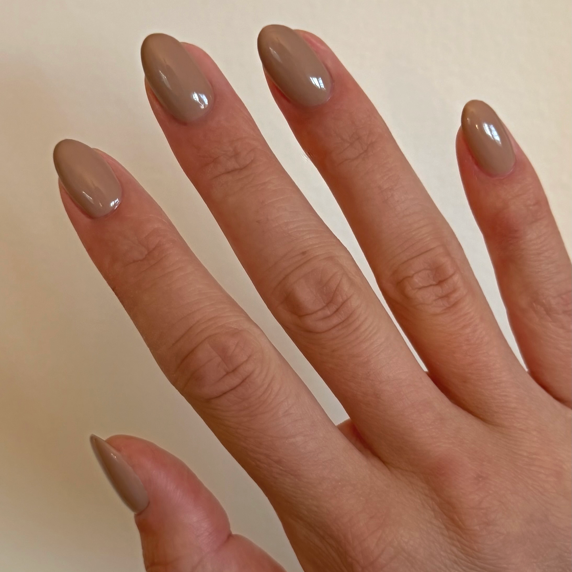 Fall Gel Polish Set - Image 11