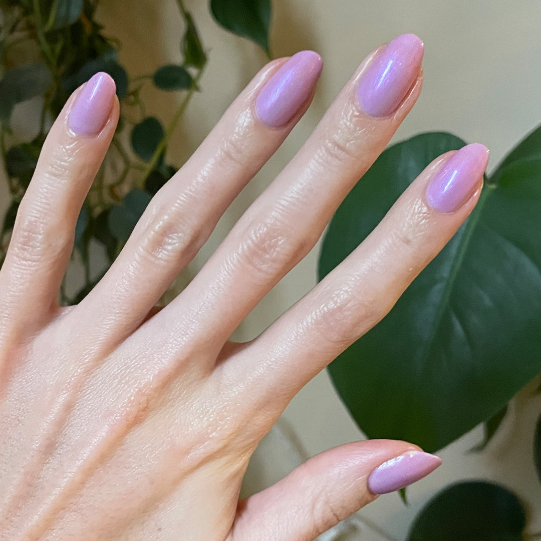 Purple Season - Image 5